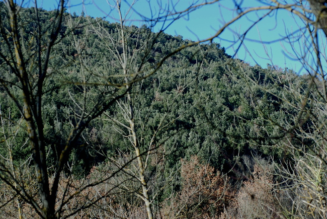 uscita prima della nevicata